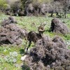 2007.04.01. - Samothraki